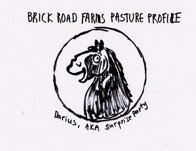 Cartoon image of Bouncy Horse, Vol 9.