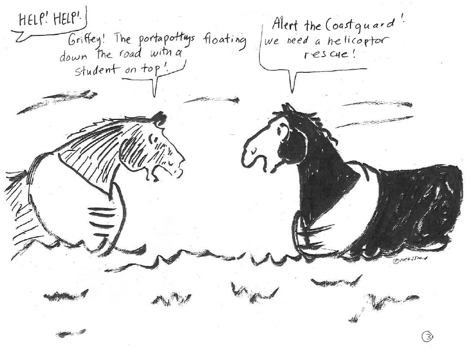 Happy Valley Riding School cartoon thumbnail