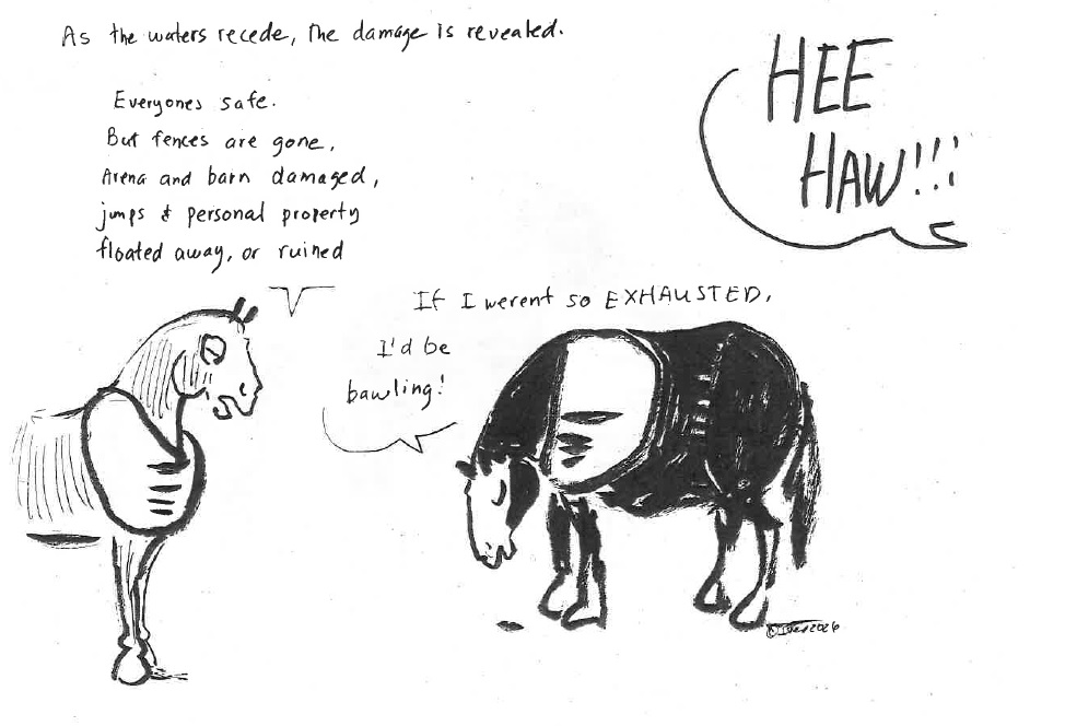 Happy Valley Riding School cartoon thumbnail