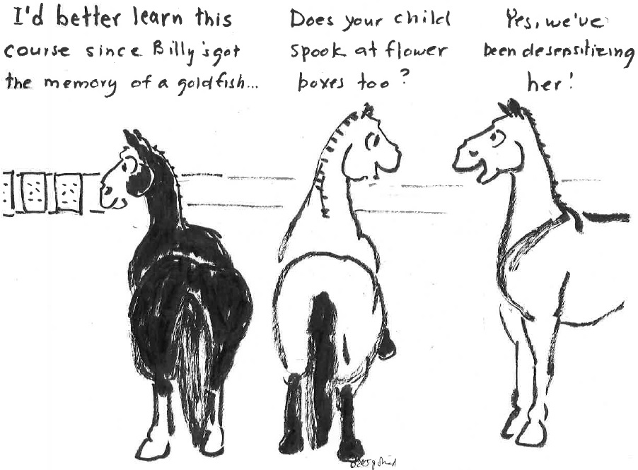 Happy Valley Riding School cartoon thumbnail